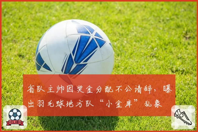 省队主帅因奖金分配不公请辞,曝出羽毛球地方队“小金库”乱象