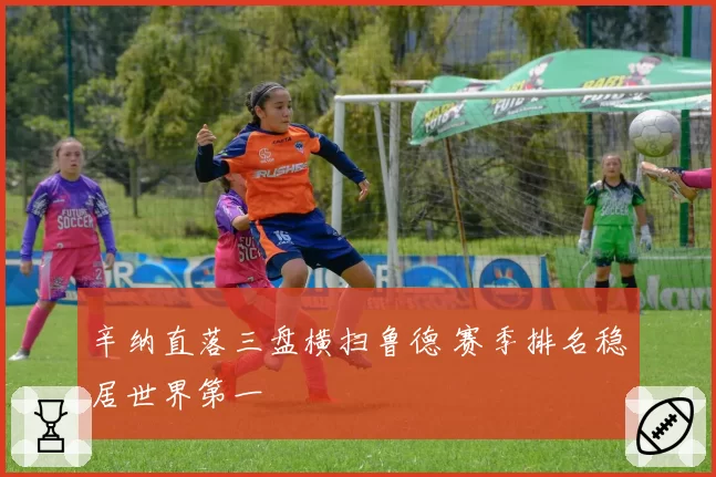辛纳直落三盘横扫鲁德 赛季排名稳居世界第一