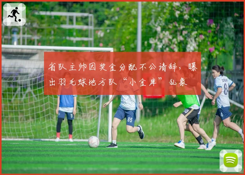 省队主帅因奖金分配不公请辞，曝出羽毛球地方队“小金库”乱象